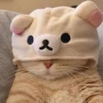 Hugo Sánchez avatar